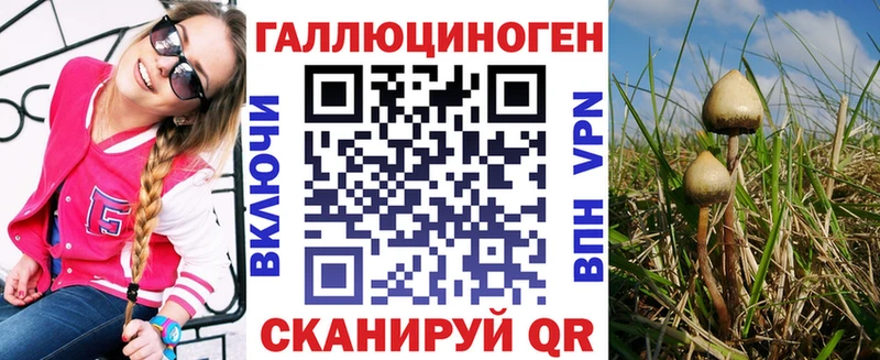 Псилоцибиновые грибы Psilocybe  гидра зеркало  Гдов 